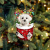 Pet In Snow Pocket Christmas Ornament
