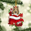 Pet In Gift Bag Christmas Ornament