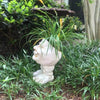 Muggly's Face Statue Planter