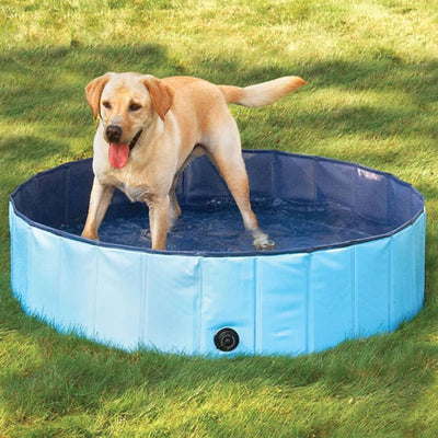 Portable Pool for Pets