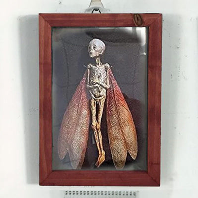 Handcrafted Mummified Fairy Display