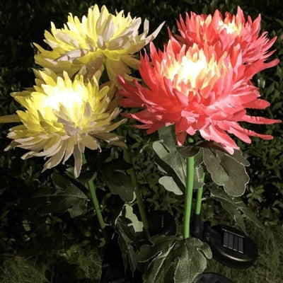 30" Chrysanthemum Solar Garden Stake LED