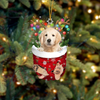 Golden Retriever In Snow Pocket Christmas Ornament SP051