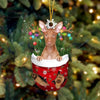 Pharaoh Hound In Snow Pocket Christmas Ornament SP110