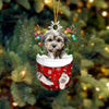 Brown Shorkie In Snow Pocket Christmas Ornament SP125