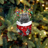 Cat In Snow Pocket Christmas Ornament SP165