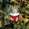 Cat In Snow Pocket Christmas Ornament SP171