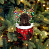 Spanish Water Dog In Snow Pocket Christmas Ornament SP275
