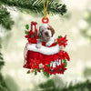 Clumber Spaniel In Gift Bag Christmas Ornament GB027