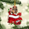 Eurasier In Gift Bag Christmas Ornament GB130