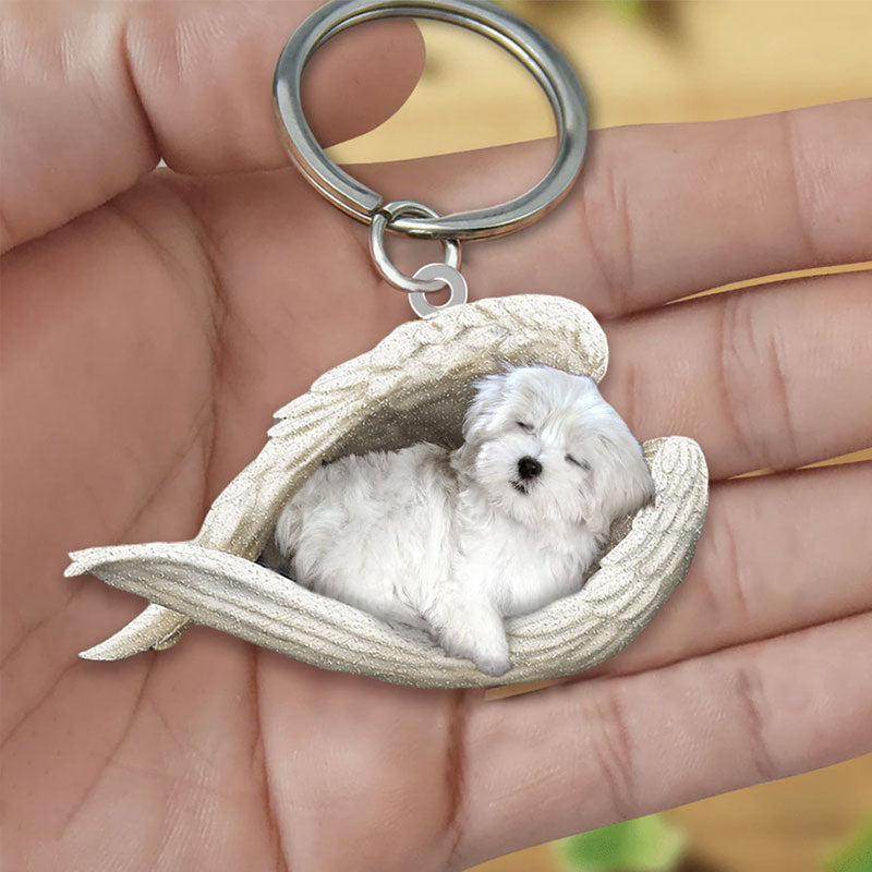 Pet Acrylic Keychain - Piecesy