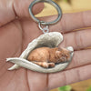 Sleeping Angel Acrylic Keychain Persian Cat