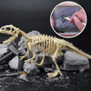 Dinosaur Fossil Digging Kit